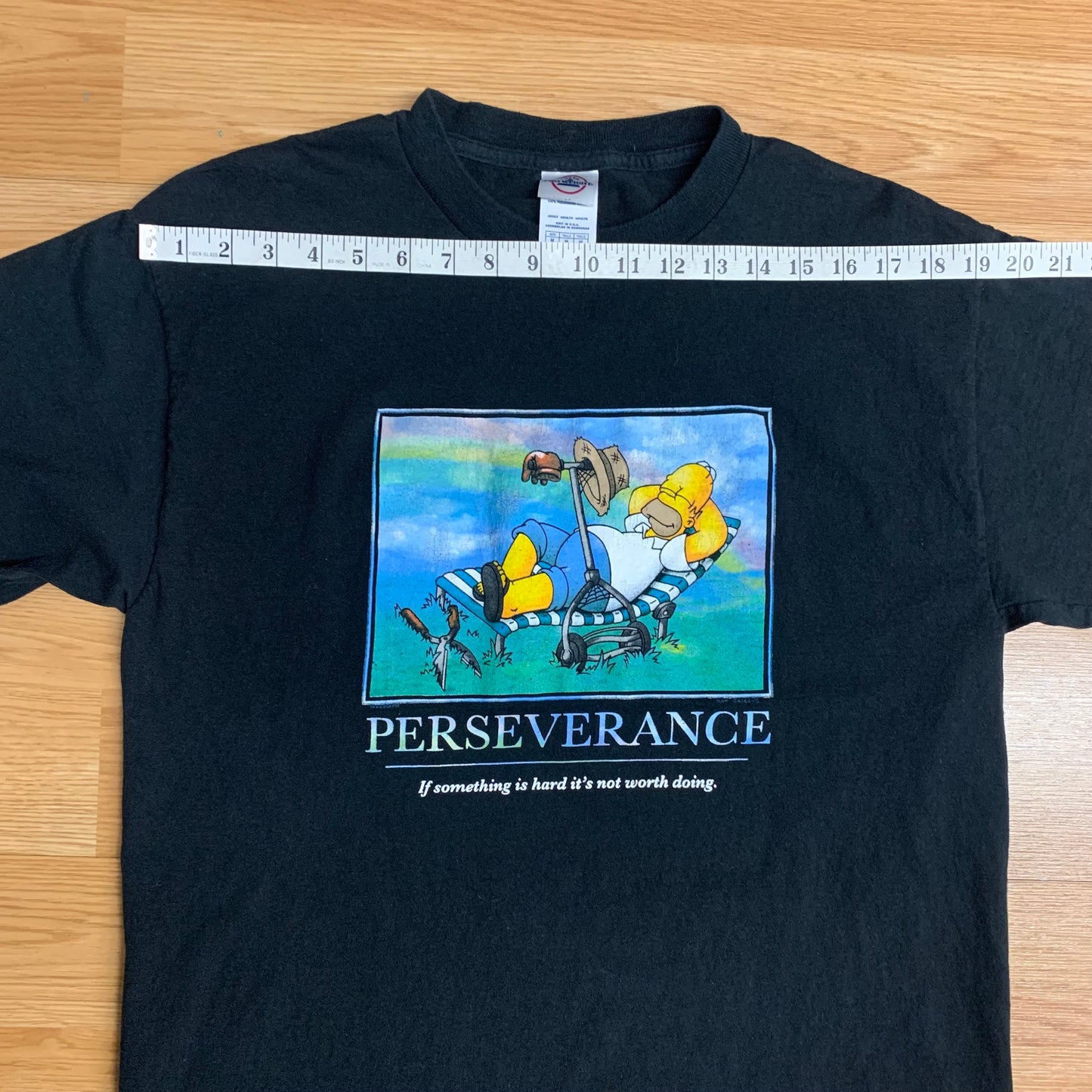 Homer Simpson Perseverance M