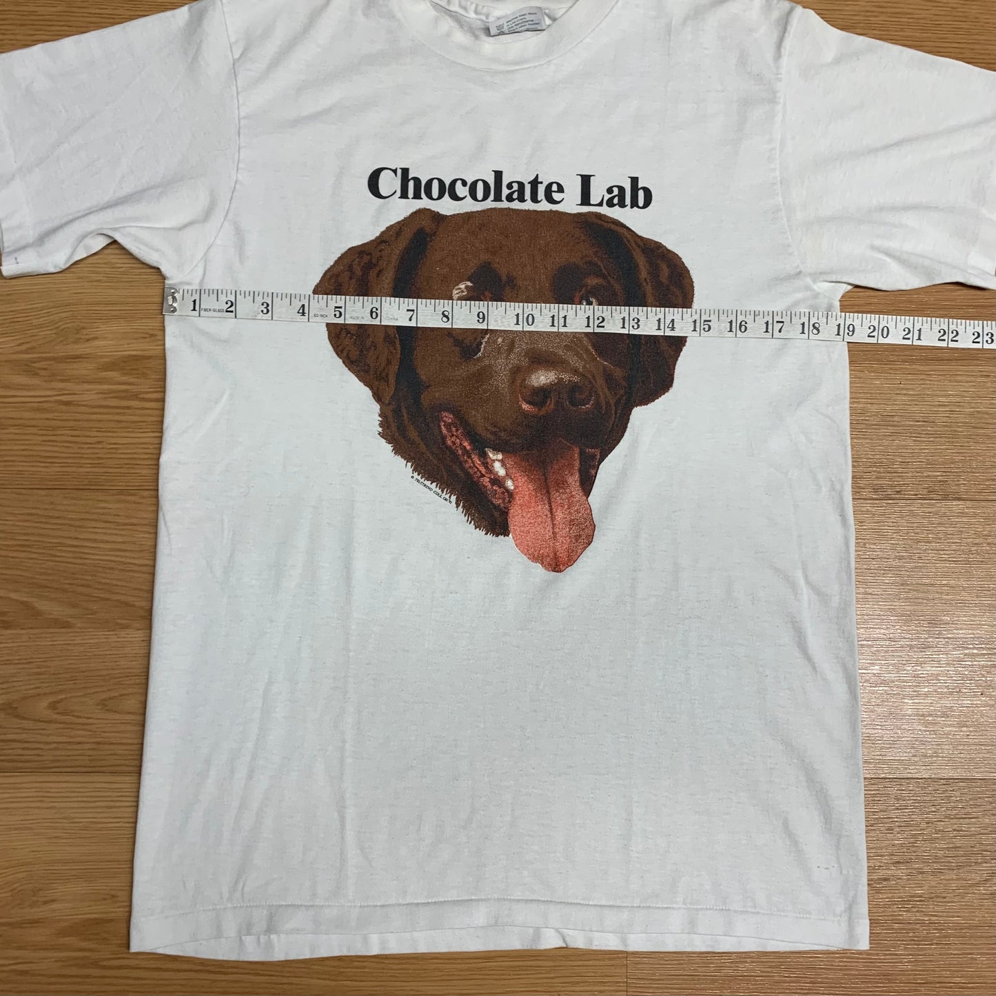 Chocolate Lab 1991 M